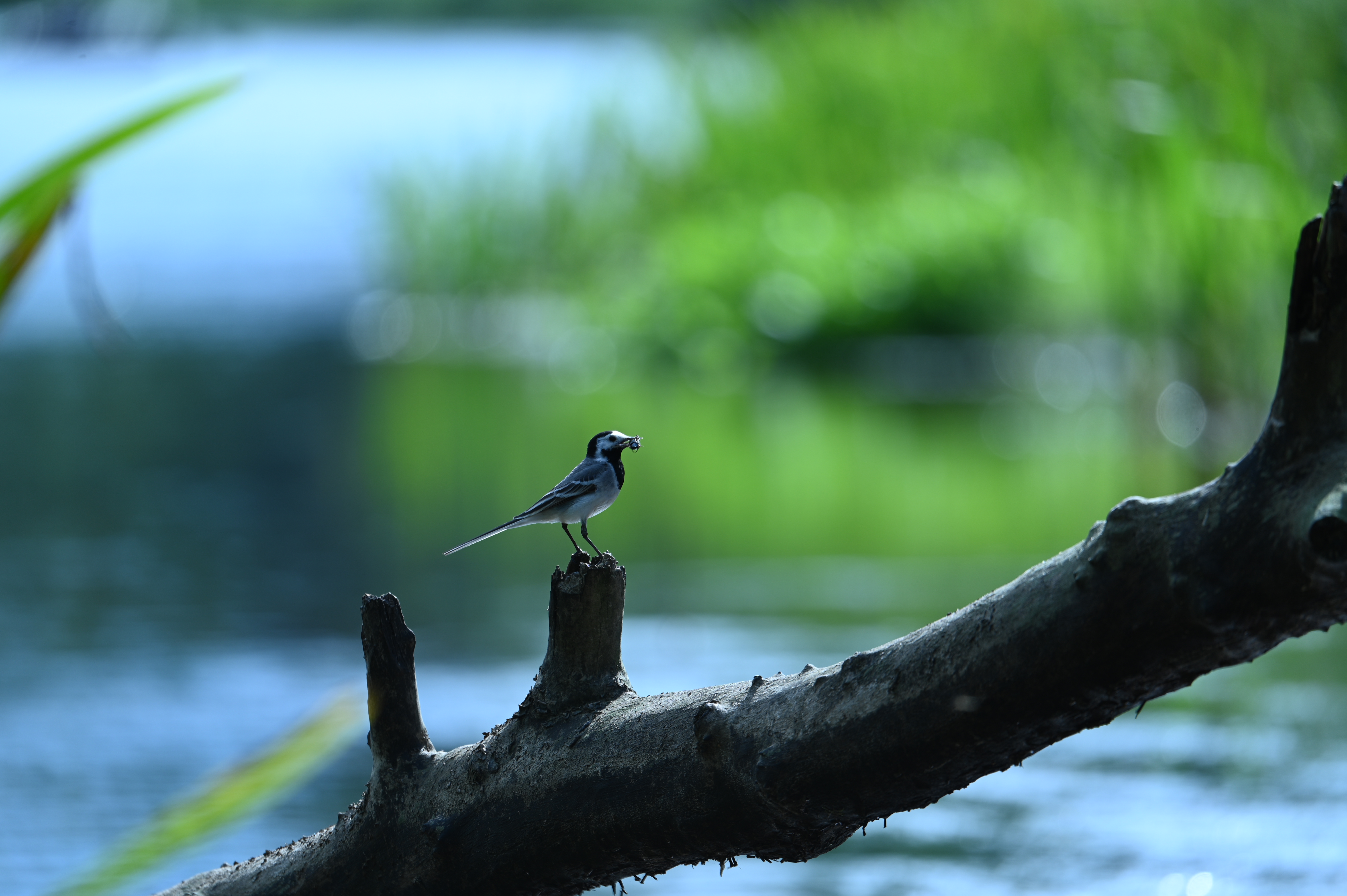 2025/07/09-14 - trip/DSC_0331.JPG